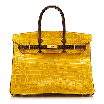 hermes birkin galben